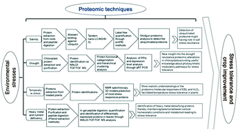 Graphical abstract: Plant proteomic research for improvement of food crops under stresses: a review