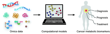 Graphical abstract: Development of computational models using omics data for the identification of effective cancer metabolic biomarkers