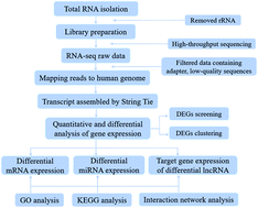 Graphical abstract: Comprehensive expression profiles of mRNAs, lncRNAs and miRNAs in Kashin-Beck disease identified by RNA-sequencing