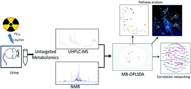 Graphical abstract: An integrative chemometric approach and correlative metabolite networking of LC-MS and 1H NMR based urine metabolomics for radiation signatures
