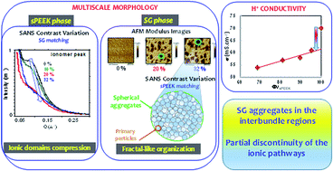 Graphical abstract: Unveiling the multiscale morphology of chemically stabilized proton exchange membranes for fuel cells by means of Fourier and real space studies