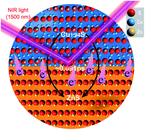 Graphical abstract: Plasmon-induced ultrafast charge transfer in single-particulate Cu1.94S–ZnS nanoheterostructures