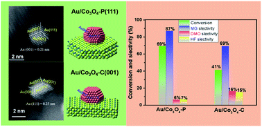 Graphical abstract: Investigation of Au/Co3O4 nanocomposites in glycol oxidation by tailoring Co3O4 morphology
