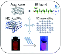 Graphical abstract: Design of a fluorescent and clickable Ag38(SRN3)24 nanocluster platform: synthesis, modeling and self-assembling