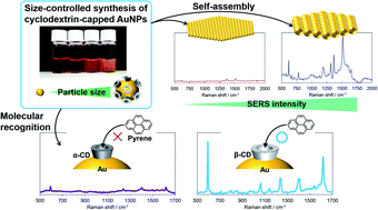 Graphical abstract: Size-controlled synthesis of cyclodextrin-capped gold nanoparticles for molecular recognition using surface-enhanced Raman scattering