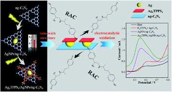 Graphical abstract: Meso-tetra(4-sulfonatophenyl)porphyrin silver/Ag nanoparticles/graphene-phase C3N4 with a sandwich-like structure and double-faced active centers via two-step room-temperature photocatalytic synthesis for ractopamine detection