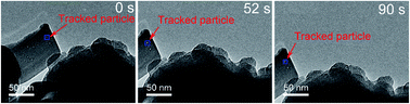 Graphical abstract: Dynamics of the charging-induced imaging instability in transmission electron microscopy