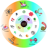 Graphical abstract: Tumor-targeting inorganic nanomaterials synthesized by living cells