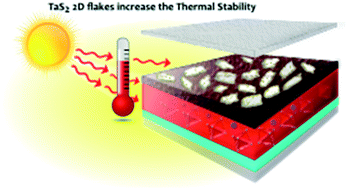 Graphical abstract: Inverted perovskite solar cells with enhanced lifetime and thermal stability enabled by a metallic tantalum disulfide buffer layer