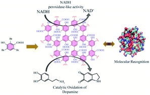 Graphical abstract: One-pot bottom-up synthesis of a 2D graphene derivative: application in biomolecular recognition and nanozyme activity