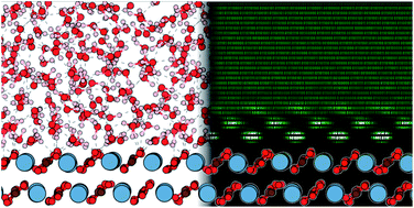 Graphical abstract: Predicting hydration layers on surfaces using deep learning