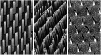 Graphical abstract: Anisotropic silicon nanowire arrays fabricated by colloidal lithography