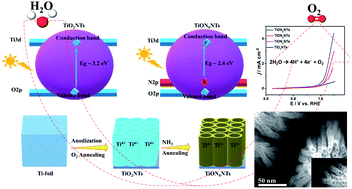 Graphical abstract: Tailoring the defects of sub-100 nm multipodal titanium nitride/oxynitride nanotubes for efficient water splitting performance