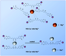 Graphical abstract: Use of curcumin-modified diamond nanoparticles in cellular imaging and the distinct ratiometric detection of Mg2+/Mn2+ ions