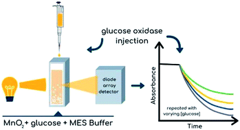 Graphical abstract: Glucose oxidase kinetics using MnO2 nanosheets: confirming Michaelis–Menten kinetics and quantifying decreasing enzyme performance with increasing buffer concentration