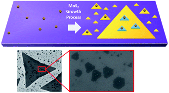 Graphical abstract: Gold nanoparticle assisted synthesis of MoS2 monolayers by chemical vapor deposition