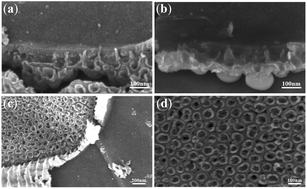 Graphical abstract: Evidence of oxygen bubbles forming nanotube embryos in porous anodic oxides