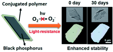 Graphical abstract: Conjugated polymer coating enabled light-resistant black phosphorus with enhanced stability
