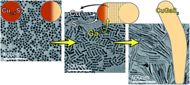 Graphical abstract: Mechanism of morphology variations in colloidal CuGaS2 nanorods