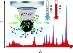 Graphical abstract: Influence of the surrounding medium on the luminescence-based thermometric properties of single Yb3+/Er3+ codoped yttria nanocrystals