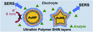 Graphical abstract: A universal polymer shell-isolated nanoparticle (SHIN) design for single particle spectro-electrochemical SERS sensing using different core shapes