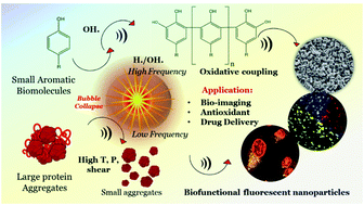 Graphical abstract: Sound methods for the synthesis of nanoparticles from biological molecules