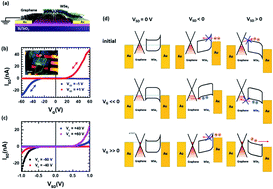 Graphical abstract: Rectifying optoelectronic memory based on WSe2/graphene heterostructures