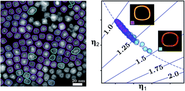 Graphical abstract: Metrology of convex-shaped nanoparticles via soft classification machine learning of TEM images