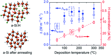 Graphical abstract: Observation of suppressed diffuson and propagon thermal conductivity of hydrogenated amorphous silicon films