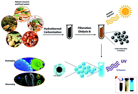 Graphical abstract: Carbon dots: a novel platform for biomedical applications