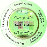 Graphical abstract: Heterojunction-based photocatalytic nitrogen fixation: principles and current progress