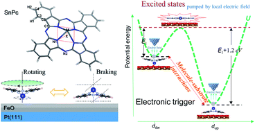 Graphical abstract: Two ‘braking mechanisms’ for tin phthalocyanine molecular rotors on dipolar iron oxide surfaces