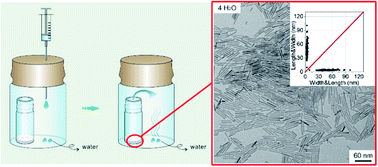 Graphical abstract: Mechanistic insights into the anisotropic growth of ZnO nanoparticles deciphered through 2D size plots and multivariate analysis