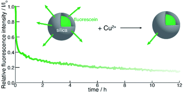 Graphical abstract: Silica particles with fluorescein-labelled cores for evaluating accessibility through fluorescence quenching by copper