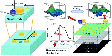 Graphical abstract: Label-free sensing of virus-like particles below the sub-diffraction limit by wide-field photon state parametric imaging of a gold nanodot array