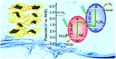 Graphical abstract: Two-dimensional graphitic carbon nitride/N-doped carbon with a direct Z-scheme heterojunction for photocatalytic generation of hydrogen