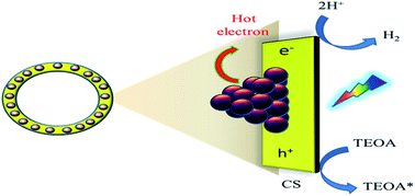 Graphical abstract: Prominence of Cu in a plasmonic Cu–Ag alloy decorated SiO2@S-doped C3N4 core–shell nanostructured photocatalyst towards enhanced visible light activity