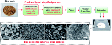 Graphical abstract: Eco-friendly and facile synthesis of size-controlled spherical silica particles from rice husk