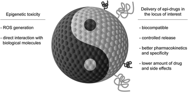 Graphical abstract: The Yin and Yang of epigenetics in the field of nanoparticles