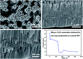 Graphical abstract: Unraveling the six stages of the current–time curve and the bilayer nanotubes obtained by one-step anodization of Zr