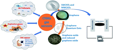 Graphical abstract: Recent trends in gas sensing via carbon nanomaterials: outlook and challenges