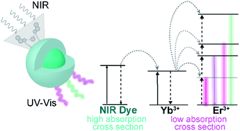 Graphical abstract: On the photostability and luminescence of dye-sensitized upconverting nanoparticles using modified IR820 dyes