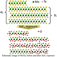 Graphical abstract: Modulation of electrical properties in MoTe2 by XeF2-mediated surface oxidation