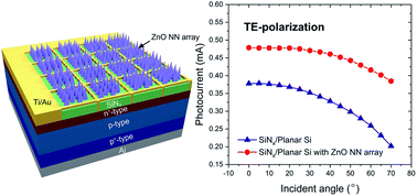 Graphical abstract: Polarization-insensitive broadband omni-directional anti-reflection in ZnO nanoneedle array for efficient solar energy harvesting