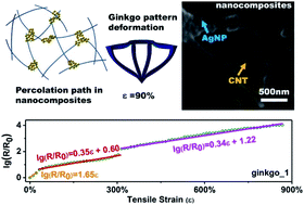 Graphical abstract: Highly stretchable and sensitive strain sensors with ginkgo-like sandwich architectures