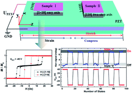 Graphical abstract: Dual-axis control of magnetic anisotropy in a single crystal Co2MnSi thin film through piezo-voltage-induced strain