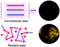 Graphical abstract: Plasmonic random laser enabled artefact-free wide-field fluorescence bioimaging: uncovering finer cellular features