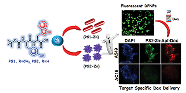 Graphical abstract: Self-assembled dipeptide based fluorescent nanoparticles as a platform for developing cellular imaging probes and targeted drug delivery chaperones