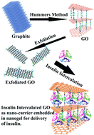 Graphical abstract: Synthesis of an insulin intercalated graphene oxide nanogel composite: evaluation of its release profile and stability for oral delivery of insulin