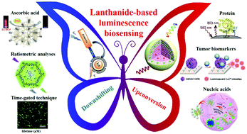 Graphical abstract: Lanthanide upconversion and downshifting luminescence for biomolecules detection